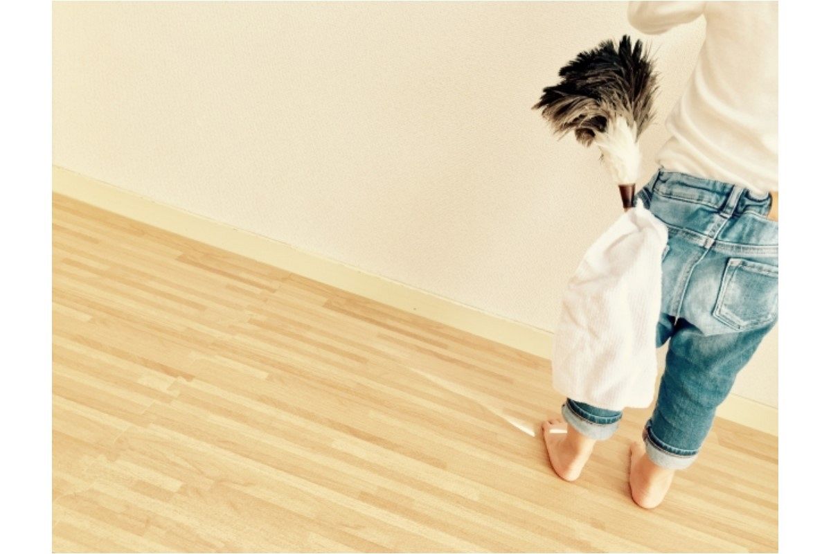 ハタキの夢は何を暗示している?