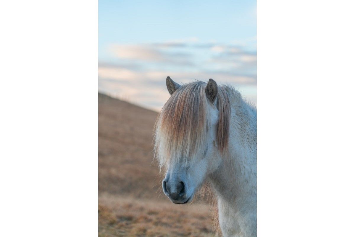 目が見えない夢は何を暗示している?