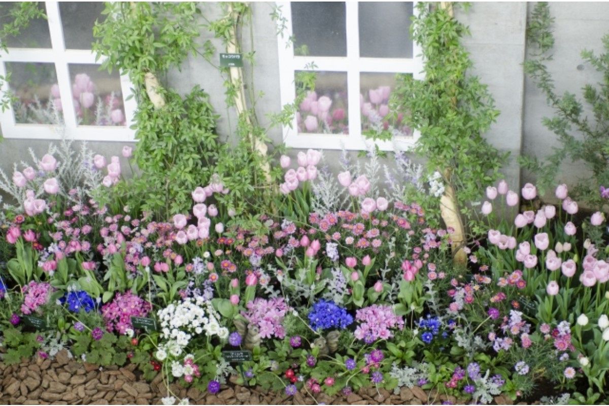 ガーデニングの夢は何を暗示している?