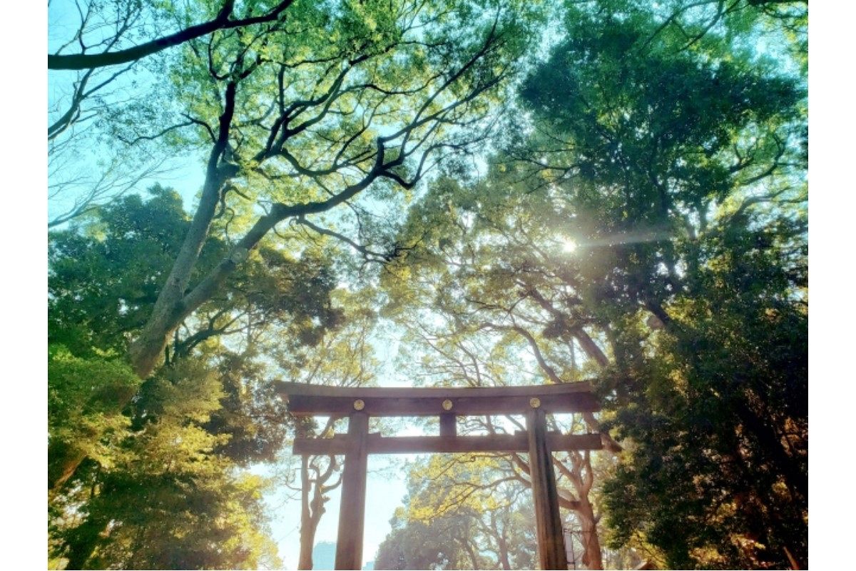 参拝の夢は何を暗示している?