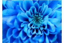 片思い占い│《実はインパクト大だった!?》あなたとの出会いがあの人に与えた影響