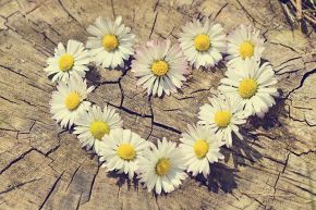 占いコラム│恋愛占いコラム:乙女座さん×あなたの片思いが辿り着く未来