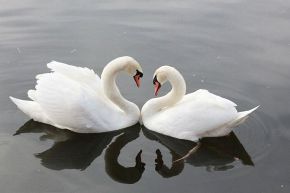 占いコラム│牡羊座だけの一方的な恋愛難回避術!!~真の恋との出会い