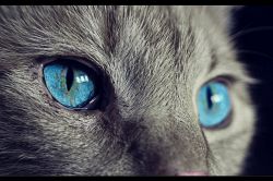 恋愛占い│私の思いは届いていない?!反応ゼロのこの恋、諦めたほうがいいのかな?