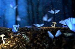 人生占い│現世でのあなたの役割◆周囲とのかかわりにおいて、あなたに課せられた使命