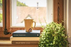 夢占い・夢診断│観葉植物の夢は何を意味している? | シンボルの意味