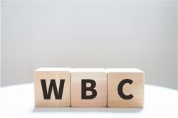 さちこい無料ピックアップ│2023年上半期、一番熱く燃えた《サムライ魂》をタロット占い!WBC代表選手全員が持っていた「一番」とは?
