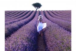 片思い占い│あの人にはこのように見えています◆あの人の中に存在している「あなた」