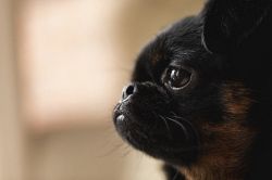 片思い占い│【この片思いの答え合わせ】恋が今まで進展しなかった裏事情