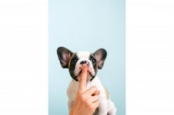 恋愛占い│怖いほどあの人を深く暴く!《当たる恋愛占い》あの人の隠しごと