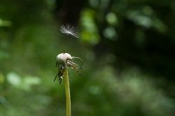 復縁占い│『こっそり期待してもいい?』今、あの人はあなたとの復縁を考えている?