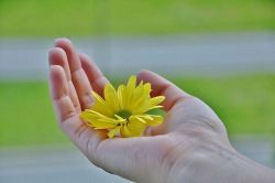 恋愛占い│【第一印象】どう思った?恋愛対象だと思った?◆あの人の本音診断