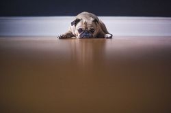 恋愛占い│『本当に知りたいですか?』彼があなたとの関係でずっと悩んでいること