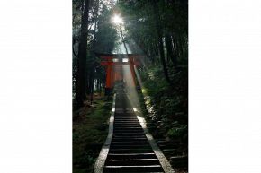 占いコラム│一生モノの知識をGET!今さら聞けない神社 参拝公式マナー大全集