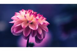 人生占い│人生激変までのカウントダウン◆これがあなたの激変期への前兆です!