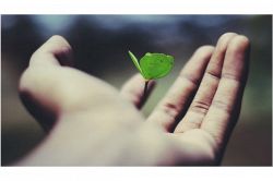 タロット占い│「夢」や「希望」を抱いたのはいつ?うまくいかないあなたに起こる人生の一大転機