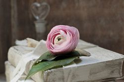 恋愛占い│《驚愕!?》あの人が今までに経験してきた過去の恋愛とその記憶