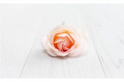 結婚占い(婚活占い)│【結婚運▼完全版】未来予言!あなたと結婚する運命の相手の見た目・性格・収入