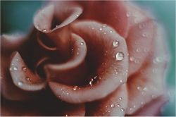 人生占い│恋? 仕事? これからの人生で一番大きな変化があるもの