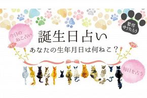 News/お知らせ│【誕生日占い】今日のねこ占い(ゆうたろう監修)が本日リリースされました!!