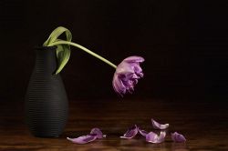 不倫占い│『どっちが大切?』既婚者のあの人の大事な人は、あなた? それとも?