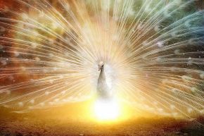 占いコラム│陰陽師って占い師? 実際はどんなことをしていたの?