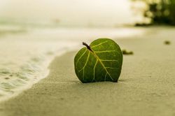 片思い占い│誤解していませんか?◆あの人が秘めている思い◆今あなたに伝えたいこと