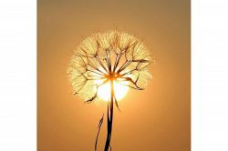 人生占い│【暗闇からの脱出】幸運へ繋がるために、あなたが手放してはいけないもの