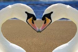 恋愛占い│あの人が、あなたに一番の魅力を感じているのはどこ?