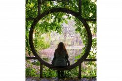 恋愛占い│あなたと出会ったとき、あの人が強く抱いた印象