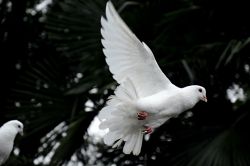 結婚占い(婚活占い)│『この人こそ運命の人?』見た目でわかる~結婚を決める相手の全貌徹底解明