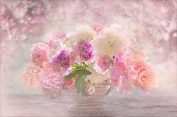 結婚占い(婚活占い)│【結婚占い】運命の恋と結婚まで~幸せへの道のりを徹底解明~