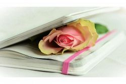 不倫占い│【不倫愛】あの人以上の相手と出会う可能性は……ある?