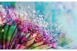 星座占い│さちこいAIの未来予想◆「二人が紡ぐストーリー」と「変わりゆくシナリオ」特別診断