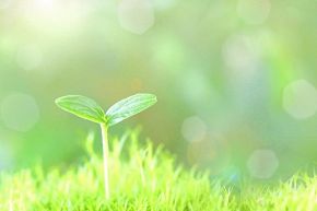 人生占い│人生の分岐点で迷ったときに、思い出してほしいこと