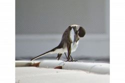 片思い占い│脈アリっぽいのに進展しない……。あなたとの関係で、あの人が抱える悩み