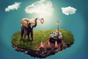 占いコラム│運命数9の予言…【本当にあの人で大丈夫?】結婚した場合の全人生