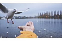 人生占い│あなたが人生において、あらかじめ手に入れることが運命づけられている幸福