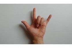 夢占い・夢診断│2025-06-05 13:21:40