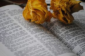 占いコラム│あの人の欲望解明!【運命数6】の導きで分かる二人の“危機”