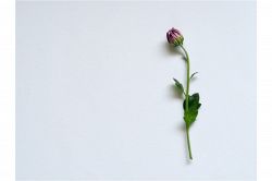 恋愛占い│今から3ヶ月後の関係はこうです! あなたとあの人はどれくらい進展する?