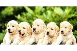 人生占い│居心地の良い人間関係を育てていくために、あなたがするべきこととは?