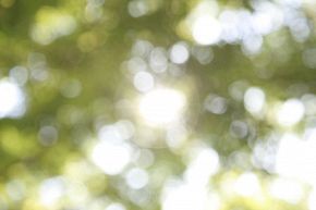 占いコラム│かかりつけ占い師を持とう