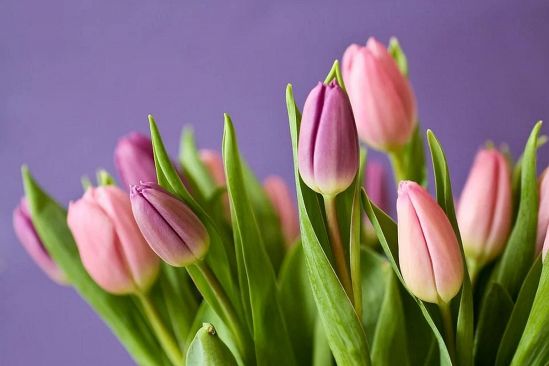 あなたの第一印象⇒楽しい人だと思ったけれど…少し面倒くさい印象