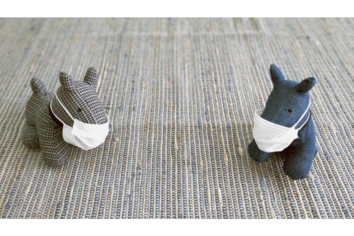 離れる夢は何を暗示している？