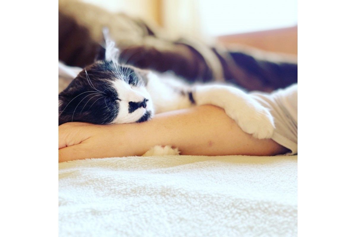 腕枕の夢は何を意味している？