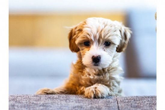 入籍は7年後…既に出会い済◆じっくり関係を築いていきましょう！