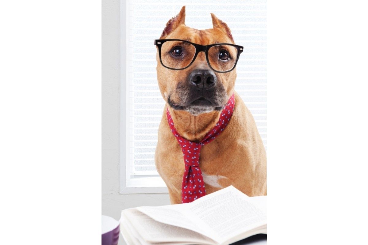 結婚して本当に良かった？今更だけど知りたい【夫婦の相性】