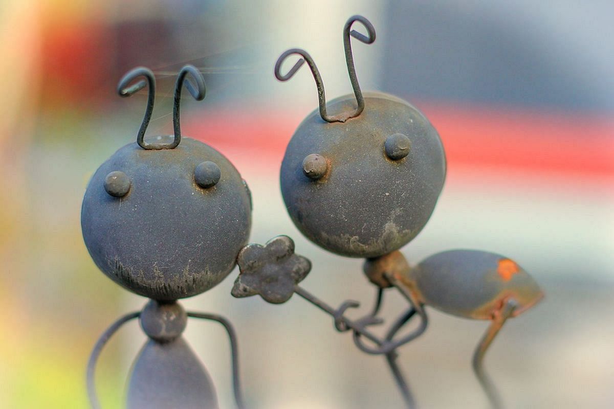 「他人の気がしない」あの人とあなたの似ているところ／違うところ