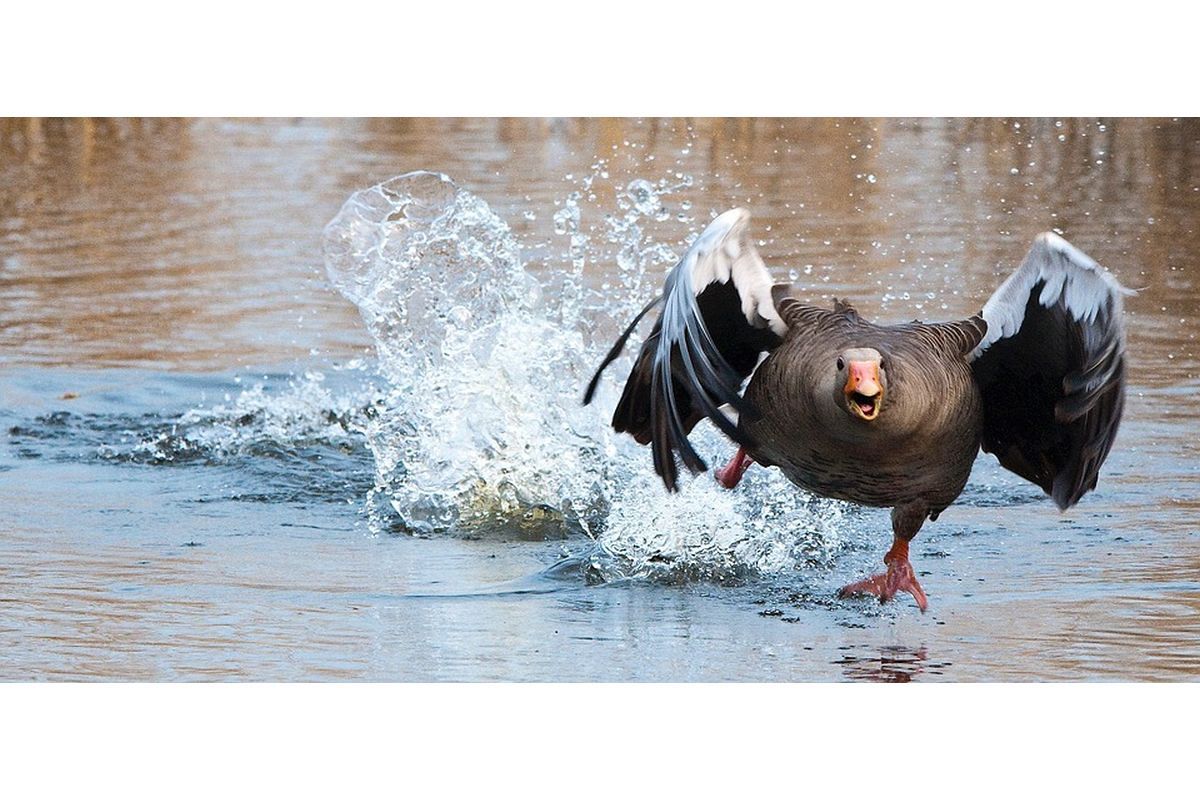 即アクション！これで人生好転?!～熱量を最大にして仕事能率UP